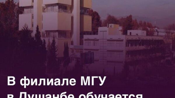 Знания превыше всего: на бюджете филиала МГУ в Душанбе обучается 295 студентов - Sputnik Таджикистан