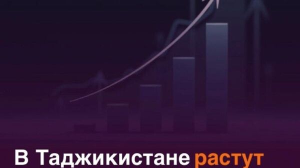 Налоговая задолженность в Таджикистане достигла 1,1 млрд сомони - Sputnik Таджикистан