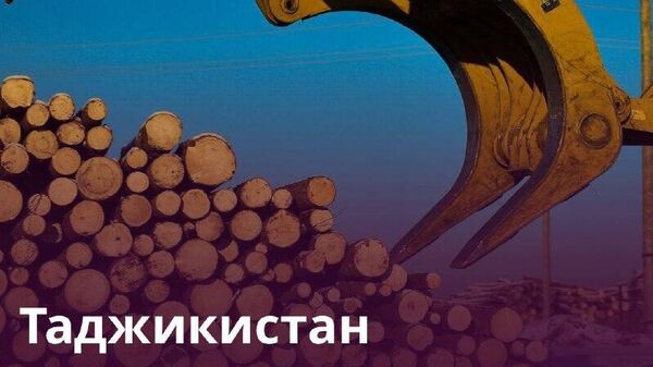 🪵Таджикистан за прошлый год ввез пиломатериалов на $149 млн - Sputnik Таджикистан