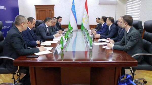 Таджикистан изучает опыт Узбекистана в борьбе с коррупцией - Sputnik Таджикистан