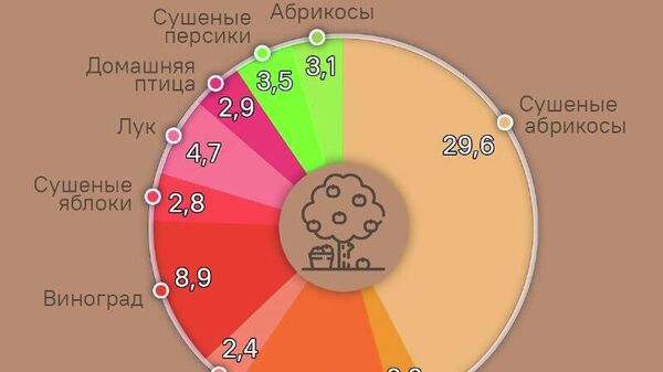 Не фрукт, а золото: сушеный абрикос принес Таджикистану почти $30 млн - Sputnik Таджикистан