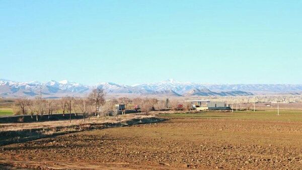 Картошка зиёд мешавад: дар ноҳияи картошкапарвари Тоҷикистон заминҳои нав аз худ карда мешаванд - Sputnik Тоҷикистон