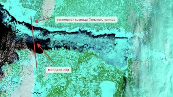 Погода продолжает удивлять: Финский залив полностью замерз впервые за 15 лет - Sputnik Таджикистан