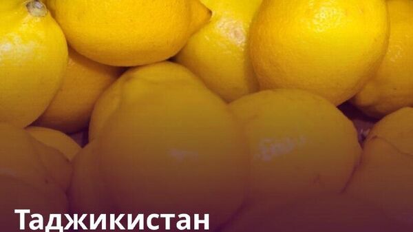 Таджикистан отправил за рубеж более 4,8 тыс - Sputnik Таджикистан