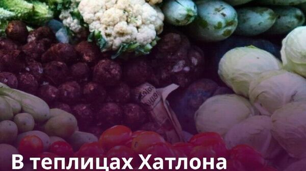 В Хатлоне действуют 2,5 тыс - Sputnik Таджикистан