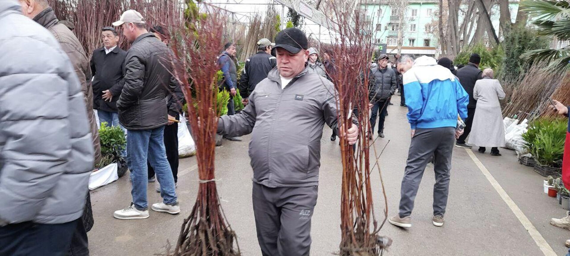 Ярмарка саженцев в Худжанде - Sputnik Таджикистан, 1920, 23.02.2026