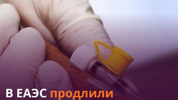 Производителям ветпрепаратов дали еще четыре года на адаптацию - Sputnik Таджикистан