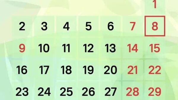 Тақвими рӯзҳои таътил ва корӣ барои муҳоҷирон дар Русия - Sputnik Тоҷикистон