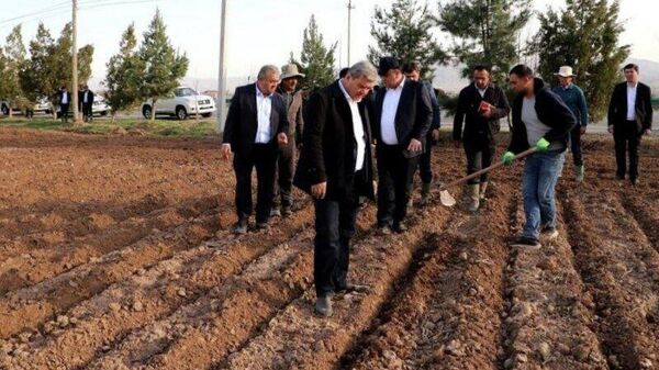 Сулаймон Зиёзода проинспектировал сельхозугодья в Гиссаре, Шахринаве и Турсунзаде - Sputnik Таджикистан