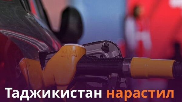 Таджикистан закупил 16,1 тыс - Sputnik Таджикистан