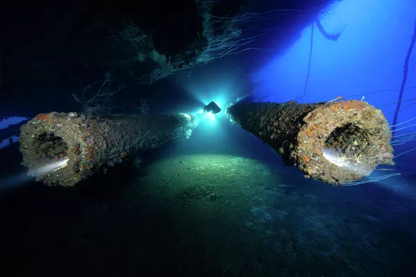 Победитель в номинации 