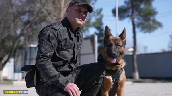 ‍ В МВД Душанбе создано сапёрно-кинологическое подразделение - Sputnik Таджикистан