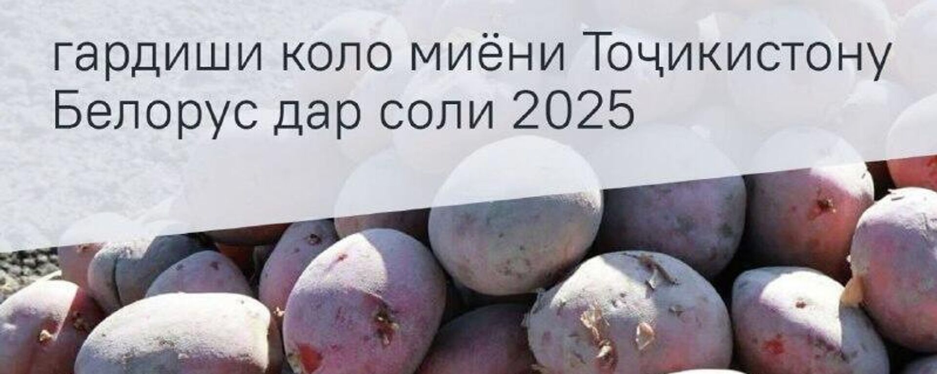 Белорус босуръат ба феҳрасти шарикони асосии тиҷории Тоҷикистон ворид шуда истодааст - Sputnik Тоҷикистон, 1920, 02.03.2026