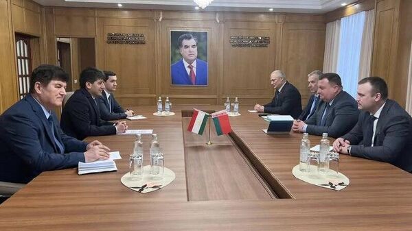 Таджикистан и Беларусь запустят новые совместные инвестпроекты - Sputnik Таджикистан