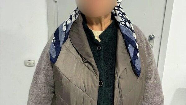 Сокини 60-солаи Душанбе бо ташкили муҳоҷирати ғайриқонунӣ 2 млн сомонӣ ба даст овардааст - Sputnik Тоҷикистон