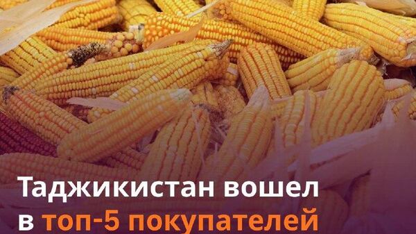 Россия экспортировала в Таджикистан кукурузный крахмал на более $1,7 млн, сообщает Агроэкспорт - Sputnik Таджикистан