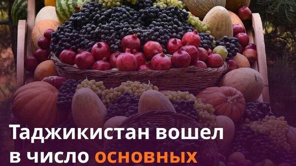 Таджикистан закупил у Кыргызстана около 30 тонн фруктов и ягод - Sputnik Таджикистан