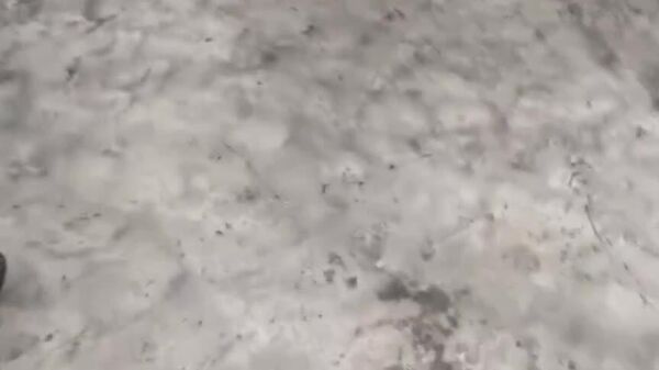 Пайомади ҳамлаҳо ба анборҳои нафт дар Эронро рӯзноманигор Фредерик Плейтген нишон дод - Sputnik Тоҷикистон