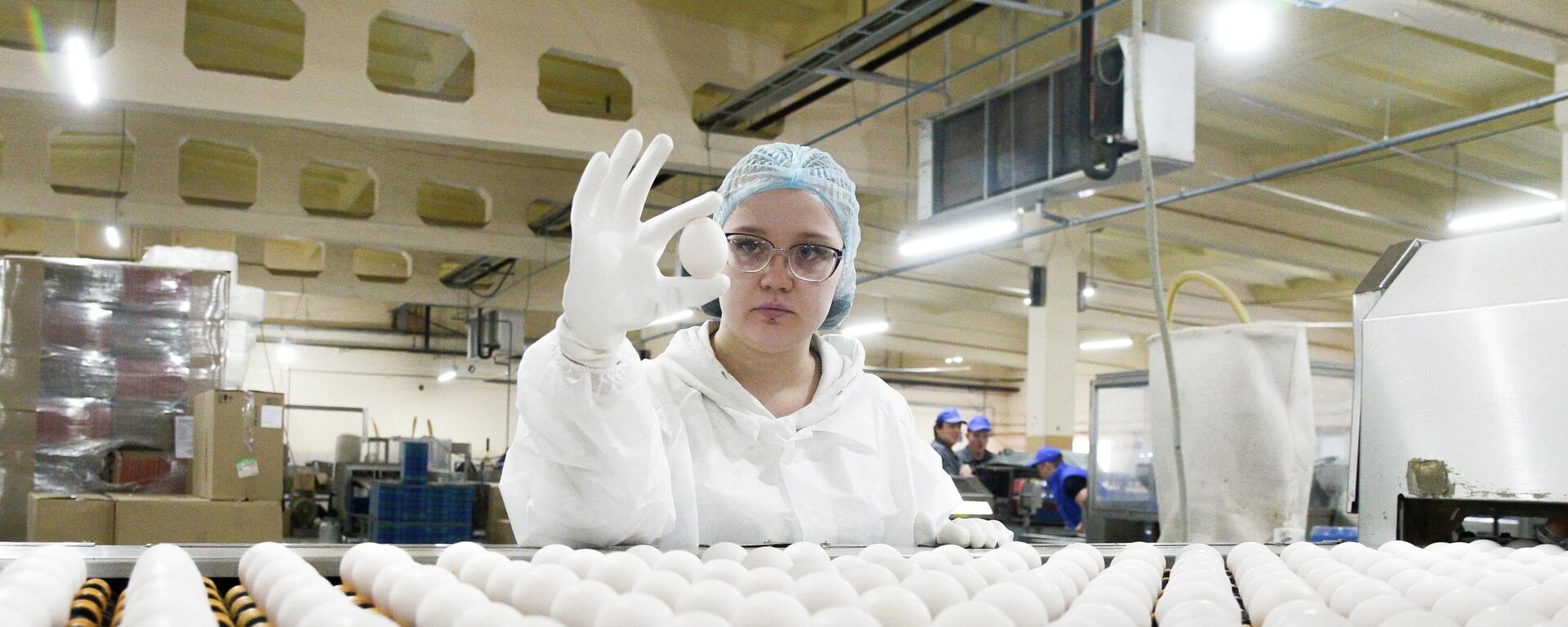 Работа птицефабрики.  - Sputnik Тоҷикистон, 1920, 09.03.2026