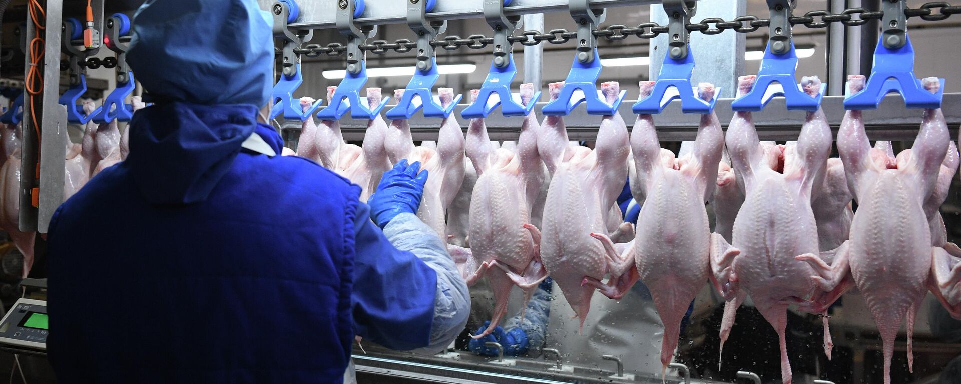 Сотрудница птицефабрики Октябрьская в Новосибирской области в разделочном цехе.  - Sputnik Таджикистан, 1920, 10.03.2026