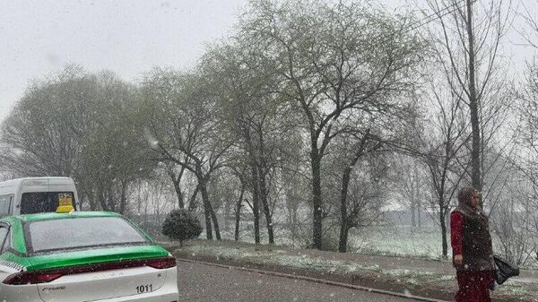 Душанбе дар баҳорон зери барф монд - Sputnik Тоҷикистон