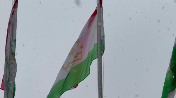 Зима не хочет уходить: цветущий Душанбе засыпало снегом - Sputnik Таджикистан