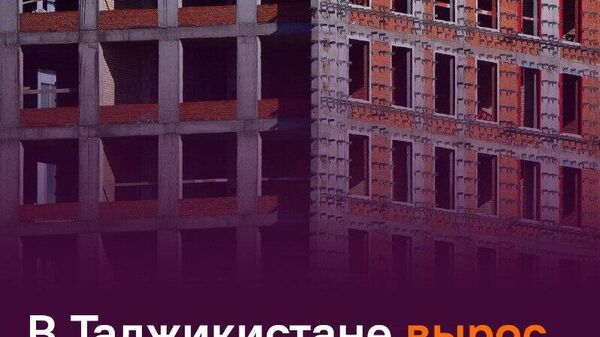 В Таджикистане за январь ввели более 125 тыс - Sputnik Таджикистан