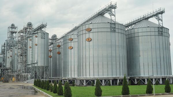 Производство зерновых и масличных культур. Иллюстративное фото - Sputnik Тоҷикистон