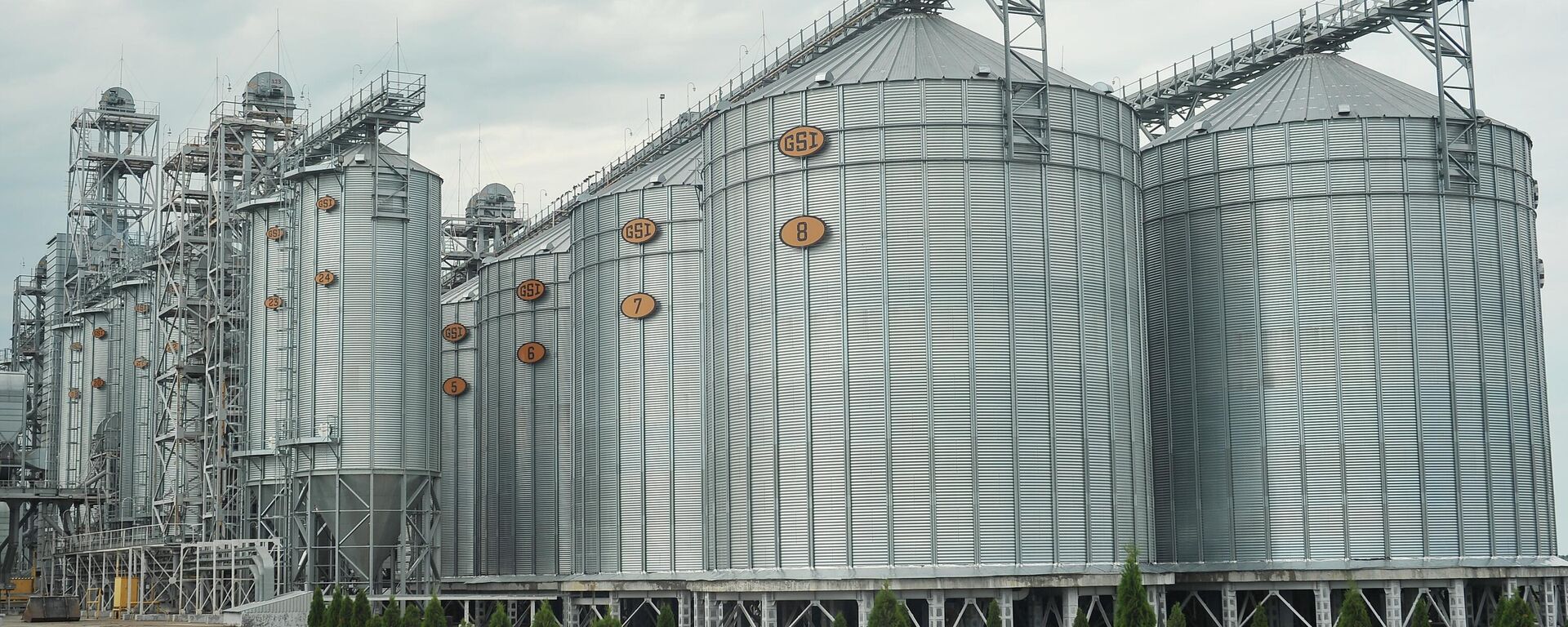 Производство зерновых и масличных культур. Иллюстративное фото - Sputnik Тоҷикистон, 1920, 12.03.2026