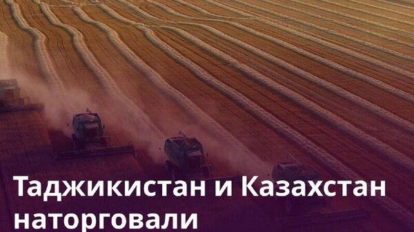 Таджикистан и Казахстан активно развивают аграрный сектор - Sputnik Таджикистан