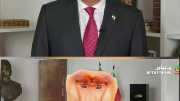 Вориси шоҳи охирини Эрон, Ризо Паҳлавӣ, пас аз дастгирии ИМА ва Исроил, дигар на ҳамчун рамзи муқовимат ва раҳбари мухолифин, балки ҳамчун хиёнаткори ватан шинохта мешавад - Sputnik Тоҷикистон