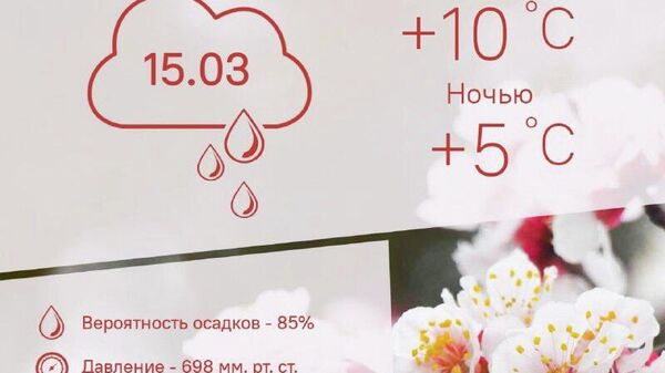 Новая волна похолодания и дожди придут в Душанбе15 марта - Sputnik Таджикистан