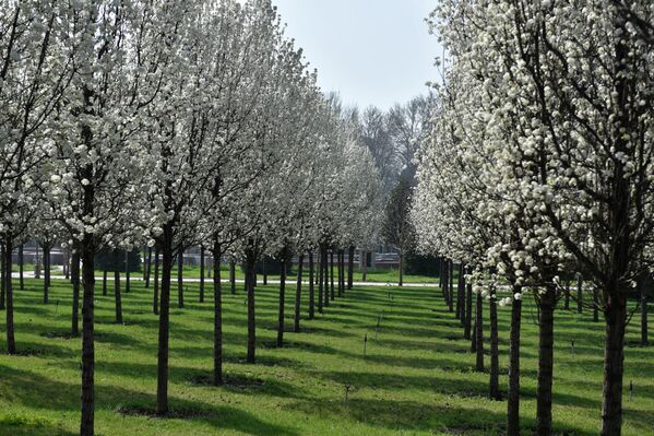 Наврӯз ва як ҳафтаи пурраи таътил баҳонаи хубе барои сайругашт дар табиат мебошанд. - Sputnik Тоҷикистон