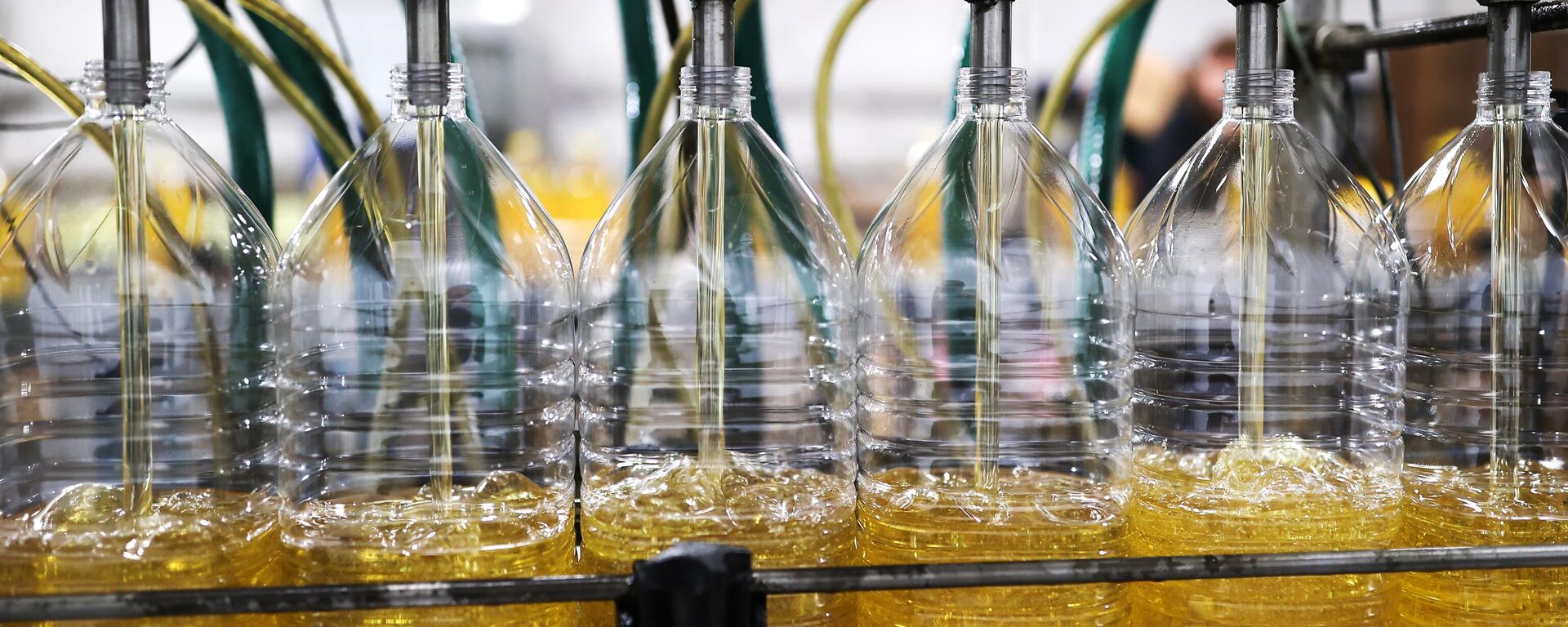 Производство растительных масел в Краснодарском крае. - Sputnik Тоҷикистон, 1920, 17.03.2026