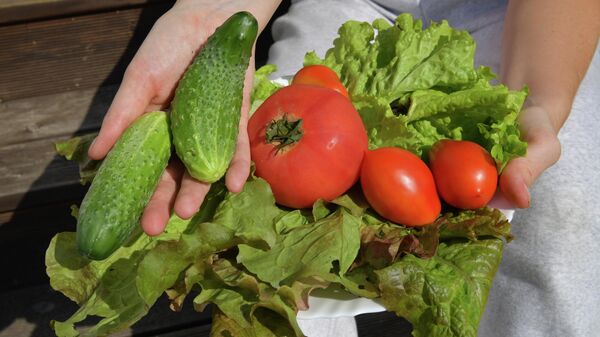 Урожай овощей на садовом участке в Ленинградской области. - Sputnik Таджикистан