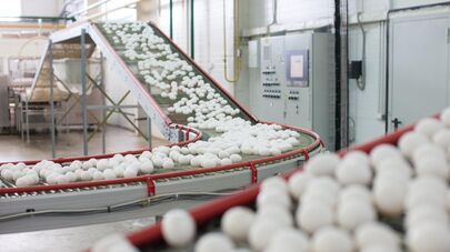 Птицефабрика "Пышминская" в Тюменской области.