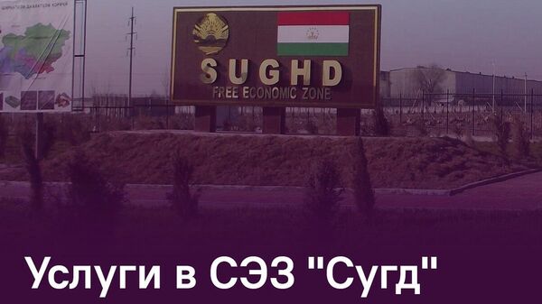Резиденты СЭЗ Сугд нарастили выпуск продукции до 87 млн сомони - Sputnik Таджикистан