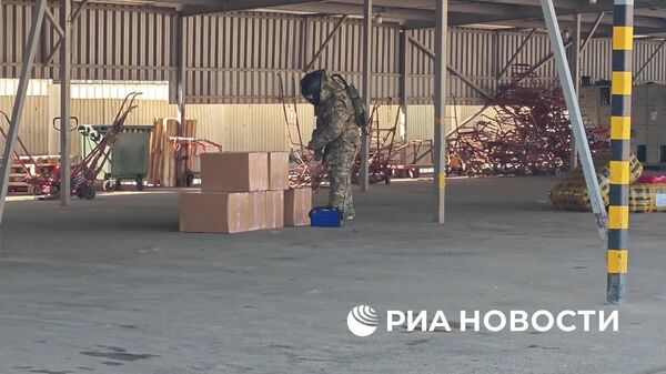 Более 500 мини-бомб пытались провезти контрабандой в Россию - Sputnik Таджикистан