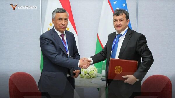 Корхонаи «Узметкомбинат» ният дорад, аз Тоҷикистон 300 ҳазор тонна оҳан бихарад - Sputnik Тоҷикистон