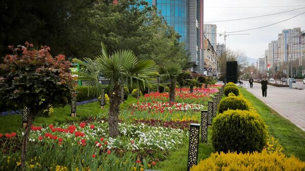 Душанбе гулгулшукуфон шуд - Sputnik Тоҷикистон