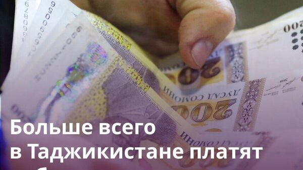 Самую маленькую зарплату в Таджикистане получают аграрии - Sputnik Таджикистан