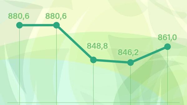 Нархи сомонӣ дар бозори арзи Русия баланд шуд - Sputnik Тоҷикистон