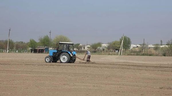 Сезон белого золота открыт: в Канибадаме стартовала кампания по посеву хлопка - Sputnik Таджикистан