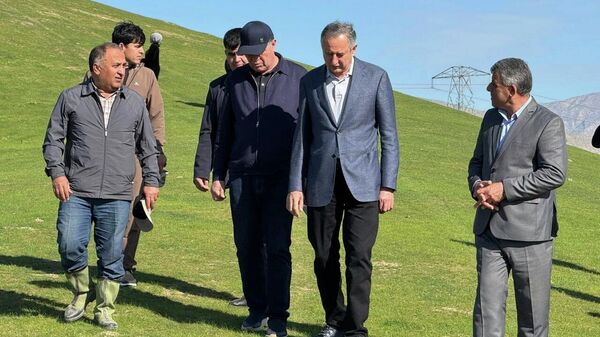 В Хатлоне активизировали борьбу с саранчой: Давлатали Саид посетил очаги распространения вредителя в районе Кушониён - Sputnik Таджикистан