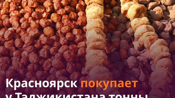 Красноярск закупил у Таджикистана более 22,5 тонн сухофруктов - Sputnik Таджикистан