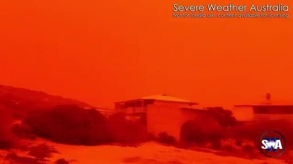 Настоящий апокалипсис произошел в Австралии - Sputnik Таджикистан