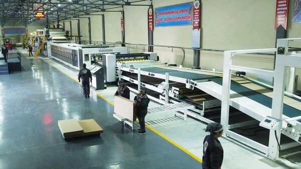 В Бободжон-Гафуровском районе открылось производство картонной упаковки - Sputnik Таджикистан