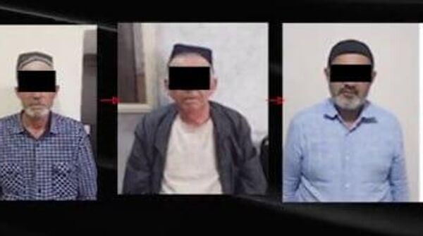 Вместо домино и удочек - наркотики из Афганистана: в Сурхандарье накрыли наркобанду с участием пожилых курьеров - Sputnik Таджикистан