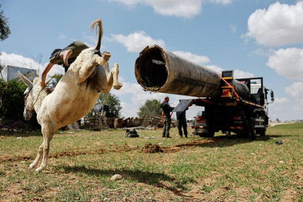 Бедуинский ребёнок едет на осле, пока рабочие загружают часть упавшей в полицейский автомобиль ракеты на Ближнем Востоке. - Sputnik Таджикистан