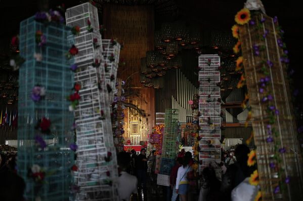 Продавцы птиц с украшенными клетками входят в базилику Гваделупской во время своего ежегодного паломничества в Мехико. - Sputnik Таджикистан